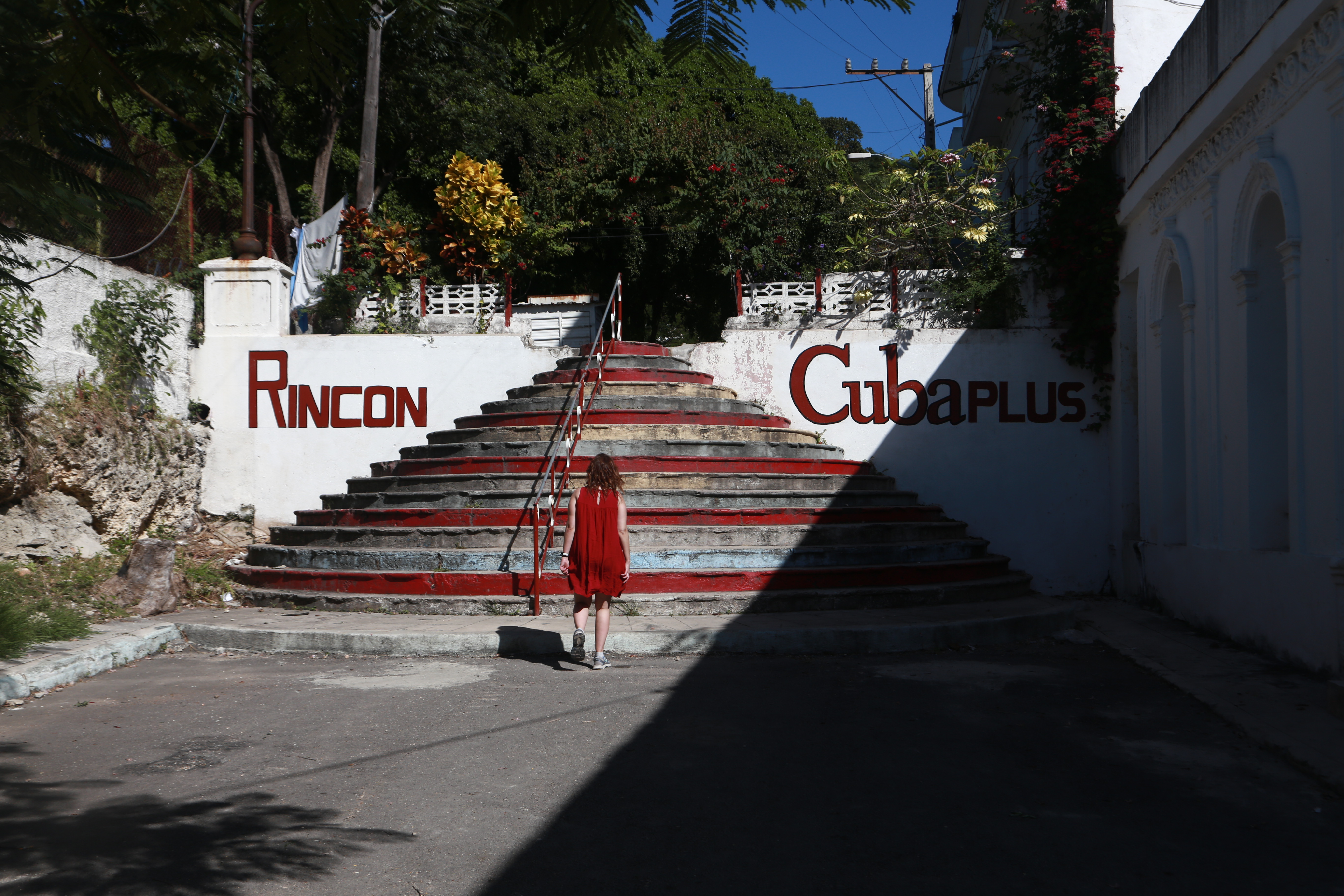 A Sunny Christmas Vacation