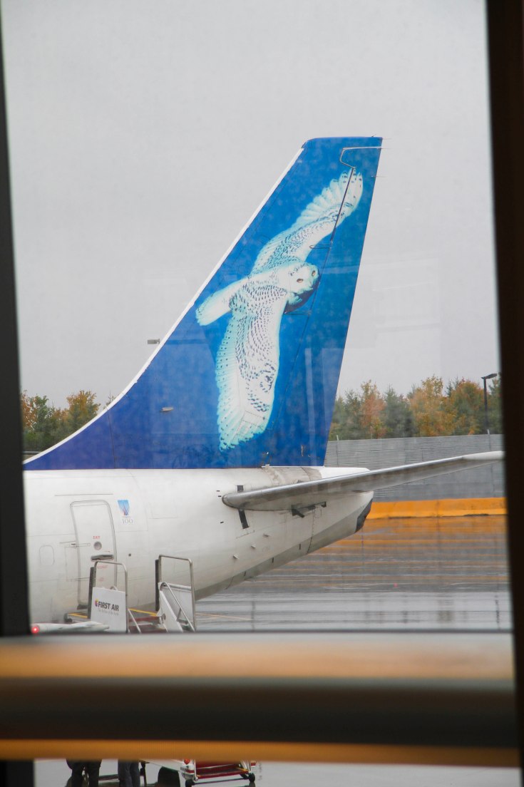 Just love this photo